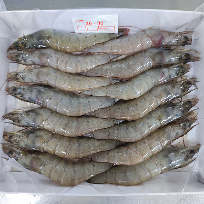 Frozen Vannamei Shrimp